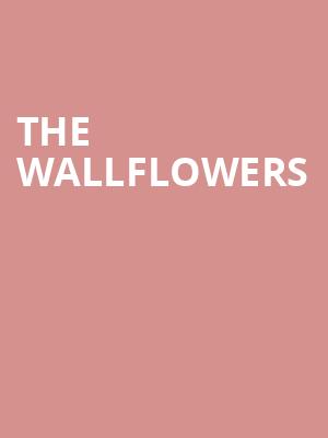 The Wallflowers, Walker Theatre, Chattanooga